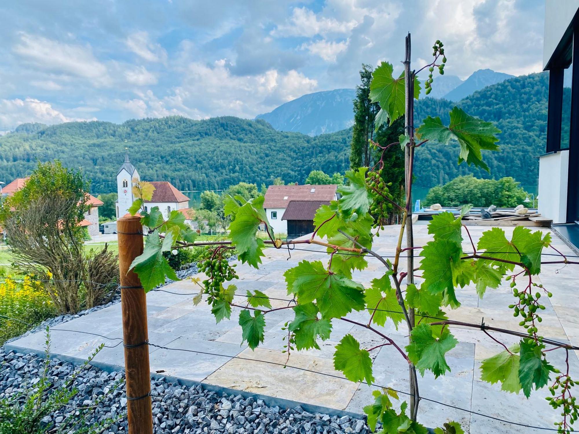 Luxury Mountain Lodge Fussen Luaran gambar